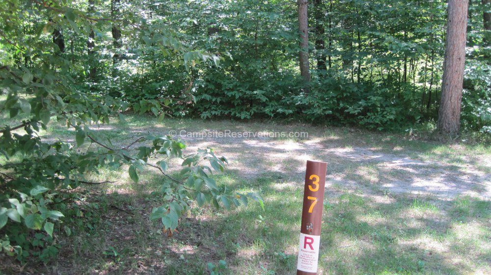 Photo Of Campsite 37 In Crow Wing State Park Campground At Crow Wing   Crow Wing State Park Campsite 37 SID21195 